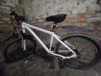 Phonex 26" Allw Body Cycle