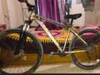 Phoenix 26 Inch Cycle