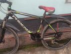 Phonex Cycle