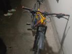 Phonex Cycle