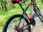 Bicycle for Phoenix