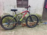 Bicycle for sell