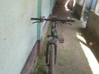 Phoenix Cycle For Sell