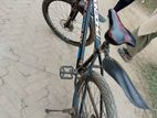 Phoenix Bicycle for sale