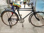 Phoniex 26" bangala cycle