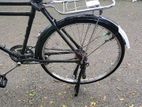 Bicycle for sell