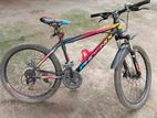Phonix 24 Size cycle