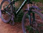 Phonix Argus Gear Cycle