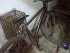 Phoenix Bicycle for sale