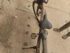 Phonix Cycle