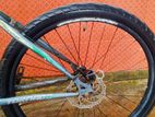 Phonix Cycle