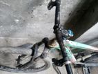 Phonix Cycle