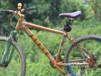 Phonix Cycle