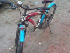 Phonix Cycle
