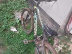 phonix Bicycle for sell.