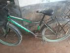 phonix Bicycle for sell.