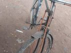 Bicycle for sell