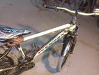 Phonix Cycle For Sell