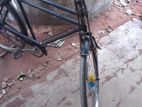 Phonix Cycle