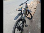 Phonix Gear Cycle