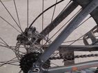 Phoenix Bicycle for sale