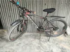 Phoenix Bicycle for sale