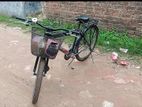Duranta Bicycle for sale