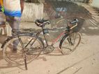 Bicycle for Sell