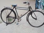 Bicycle for sell