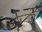 Bicycle for Sell