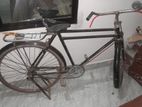 Bicycle for sell