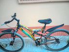 ফ্রেশ কন্ডিশনে আছে ভালো একটি সাইকেল