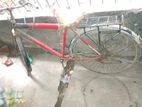 Bicycle for sell