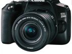 ফ্রেশ নিউ ক্যামেরা 250D
