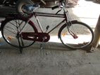 Bicycle for sell