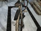 ফ্রেশ সাইকেল বিক্রি করা হবে