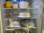 Fridge for sell