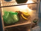 Fridge for sell