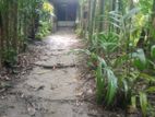 ফসলাদি জমি বিক্রি হবে