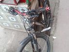 Duranta Bicycle for sale