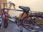 Bicycle for sell