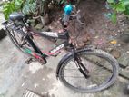 Duranta Bicycle for sale