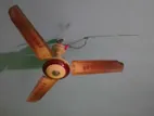 ফ্যান বিক্রি