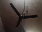 Ceiling fan for sell