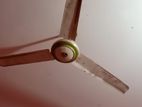 ফ্যান বিক্রি করা হবে