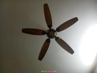 ফ্যান বিক্রি হবে