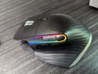 Phylina M10 Mouse