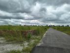 পি ব্লকে // 5 katha Ready plot sell 👉 বসুন্ধরা আবাসিক এলাকায়