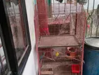 Pigeon Cage