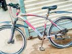 Pioner 26" Bicycle for sell